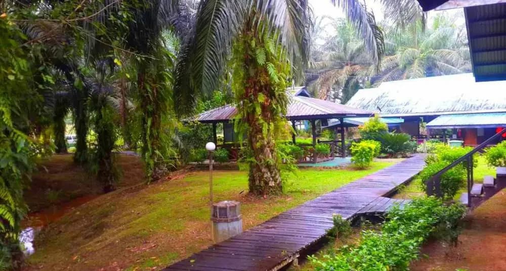 Sukau Backpackers B&B - photo 10
