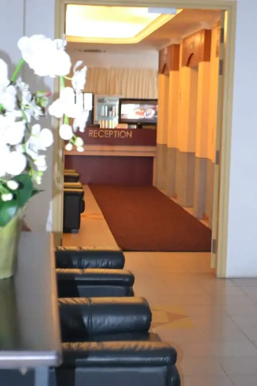 Mutiara Penthouse Hotel - photo 12
