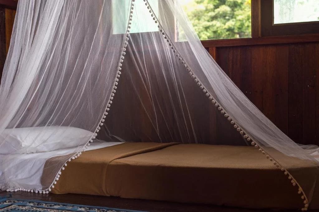 Wild Pasir Panjang Villas - photo 4