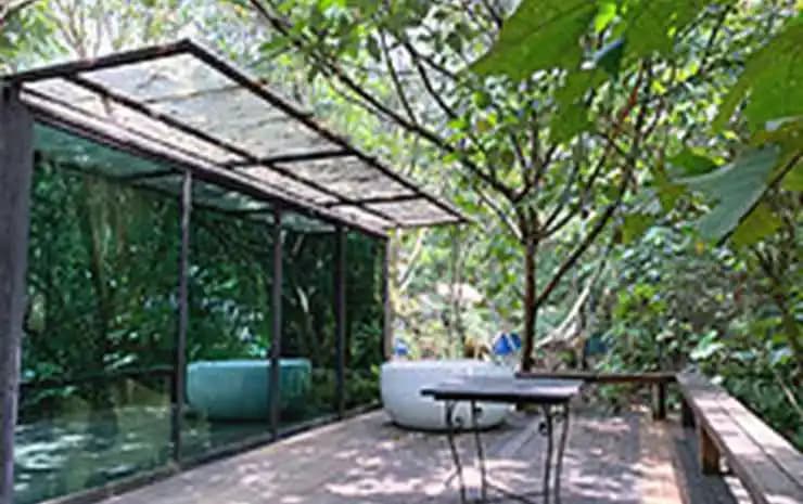 Time Capsule Retreat - photo 15