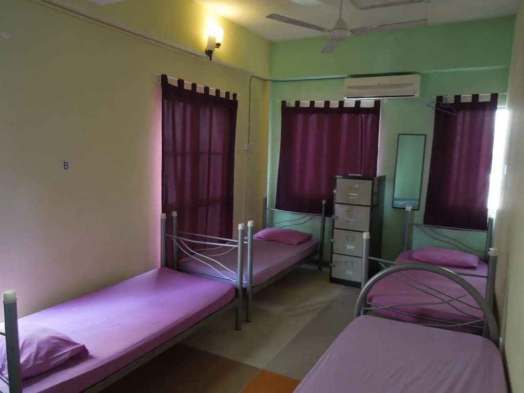 Lavender Guesthouse - Hostel - photo 3