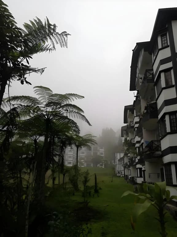 Silverstar Apartment @ Greenhill Resort - photo 20