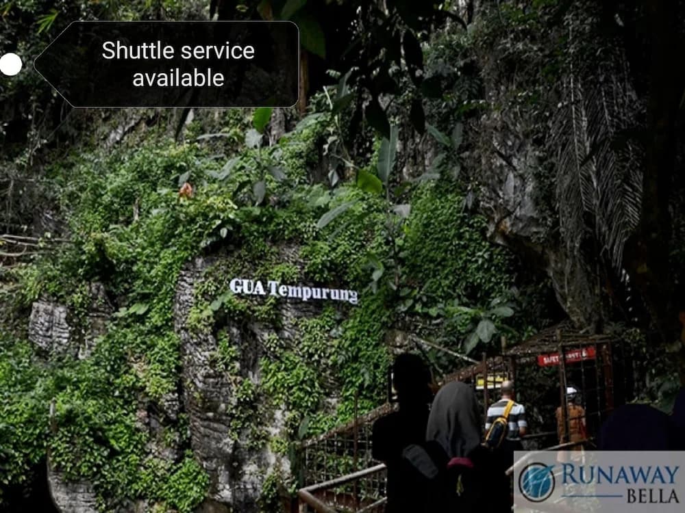 The Pines Villa 792 @ The Residence Kampar - photo 1