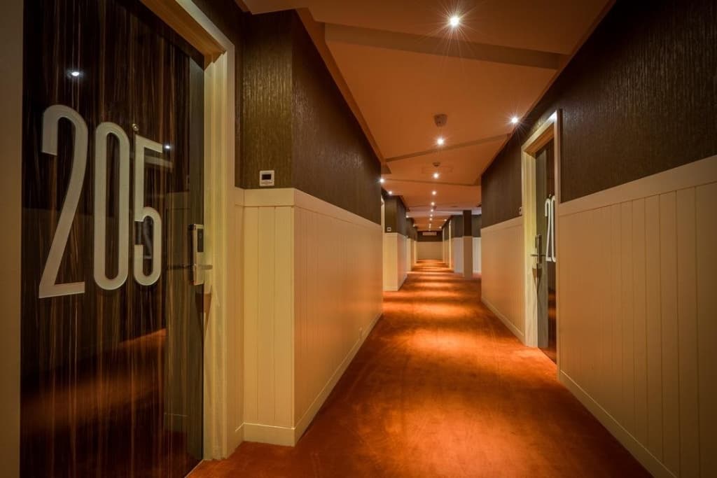 Wiwo Hotels - photo 14