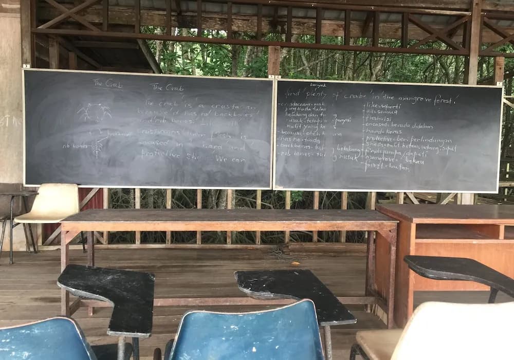 Bakau Hijau Riverlodge - Hostel - photo 5