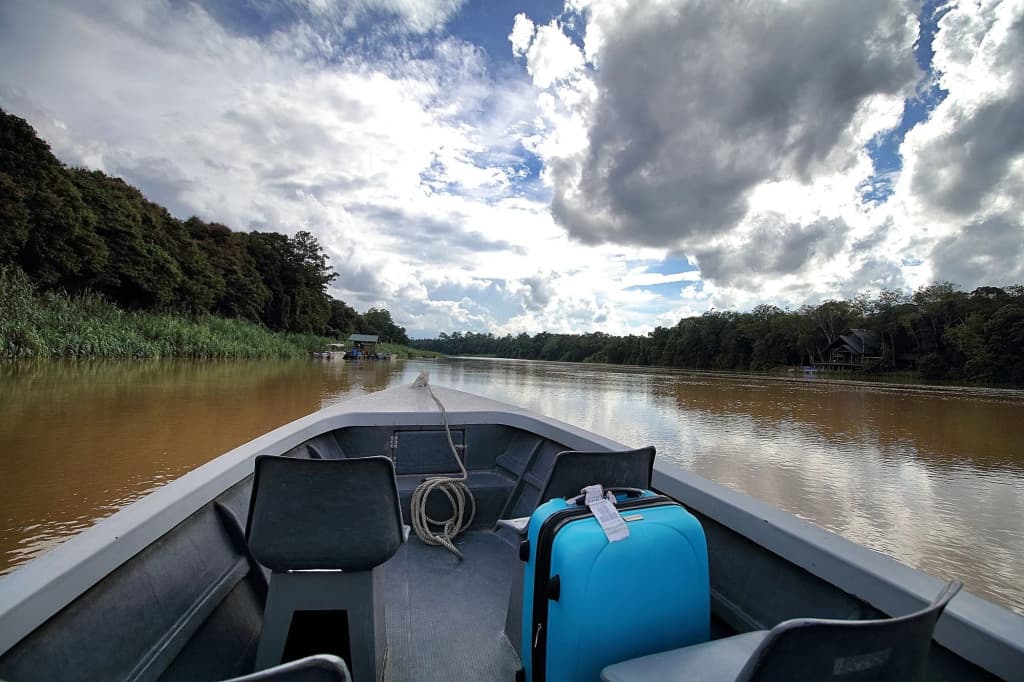 Tanini Kinabatangan (Formerly Known as Nature Lodge Kinabatangan) - photo 9