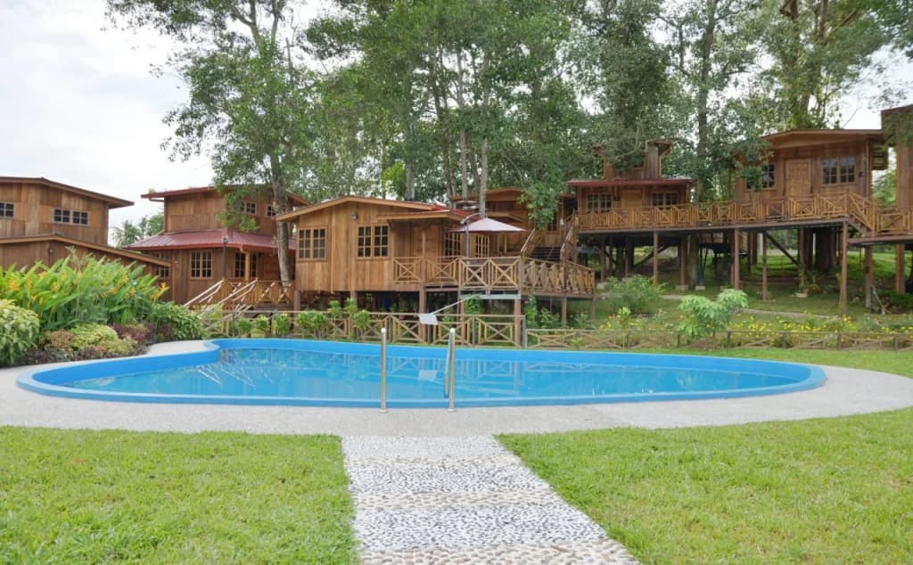 Borneo Tree House - photo 13
