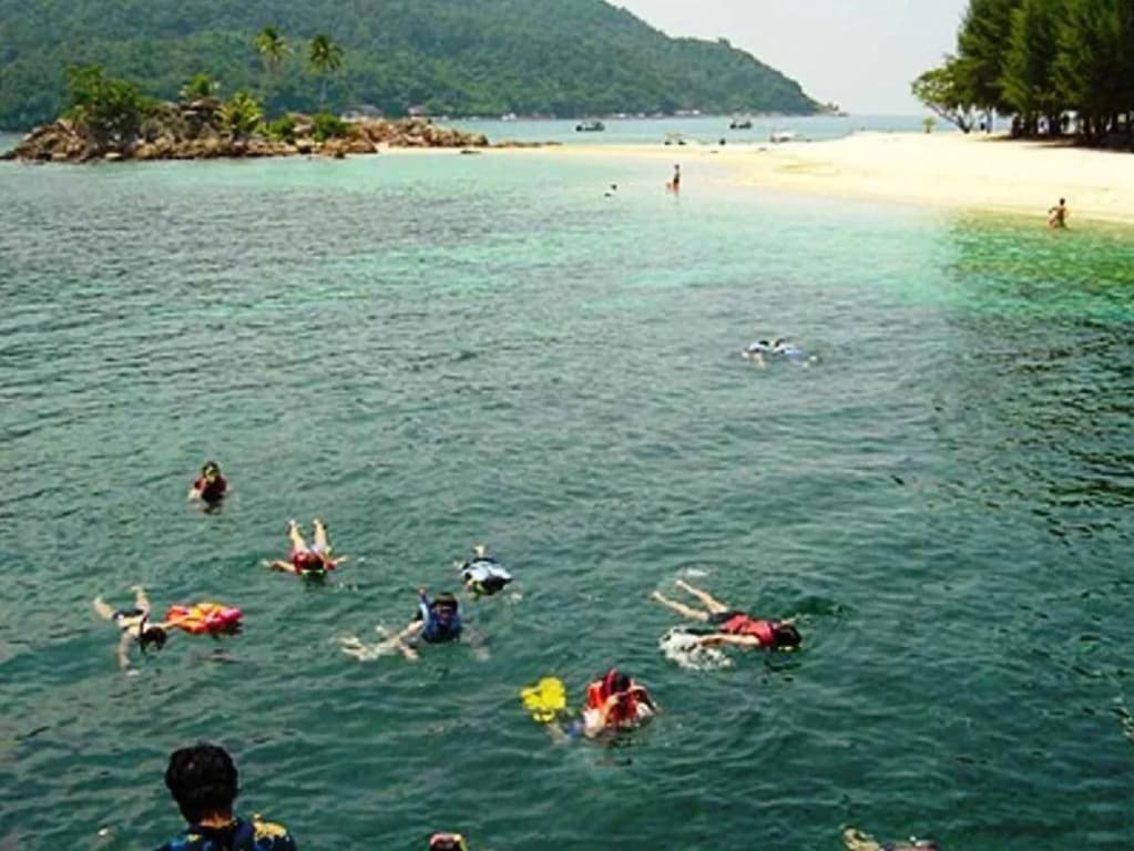 D'Coconut Lagoon - photo 7