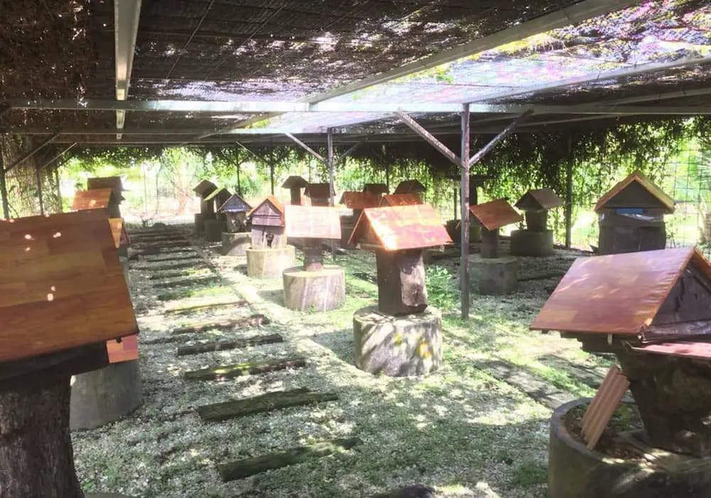 Kelulut Lodge - photo 13