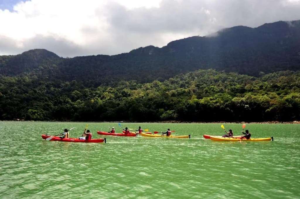 Permai Rainforest Resort - photo 34