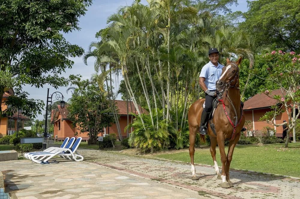 De Palma Inn Kuala Selangor - photo 22
