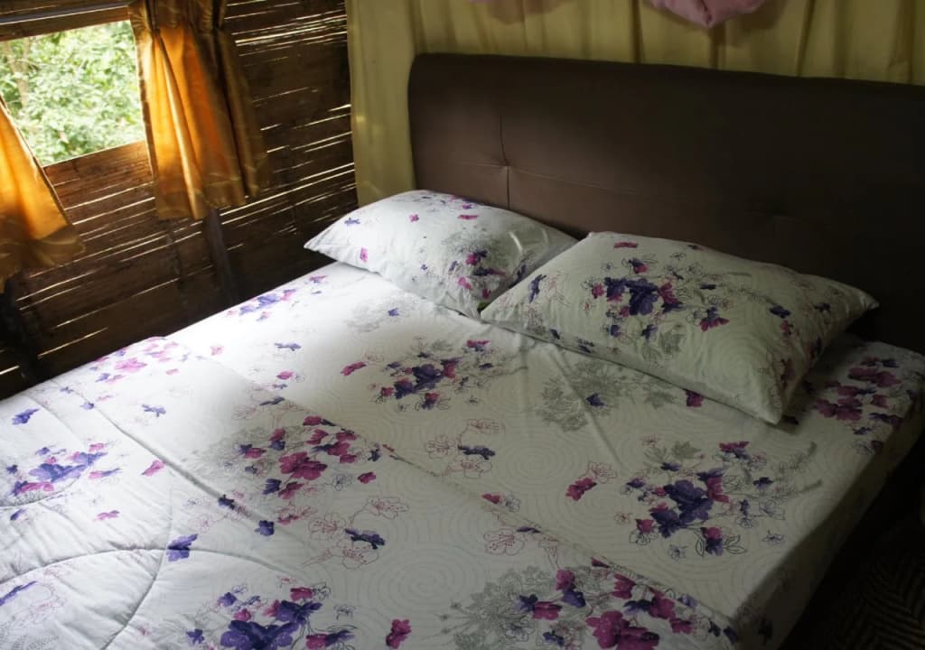 Rain Forest Inn - photo 1