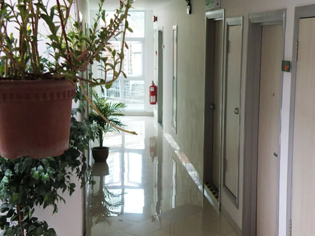 Yan Hotel - photo 17