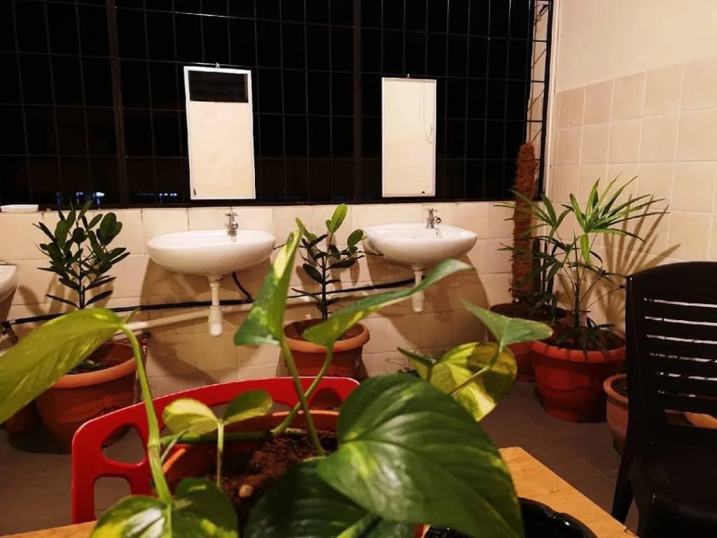 Sunset Homestay 2 - photo 8