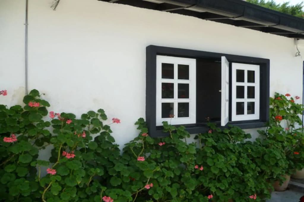 Country Lodge Resort - photo 17