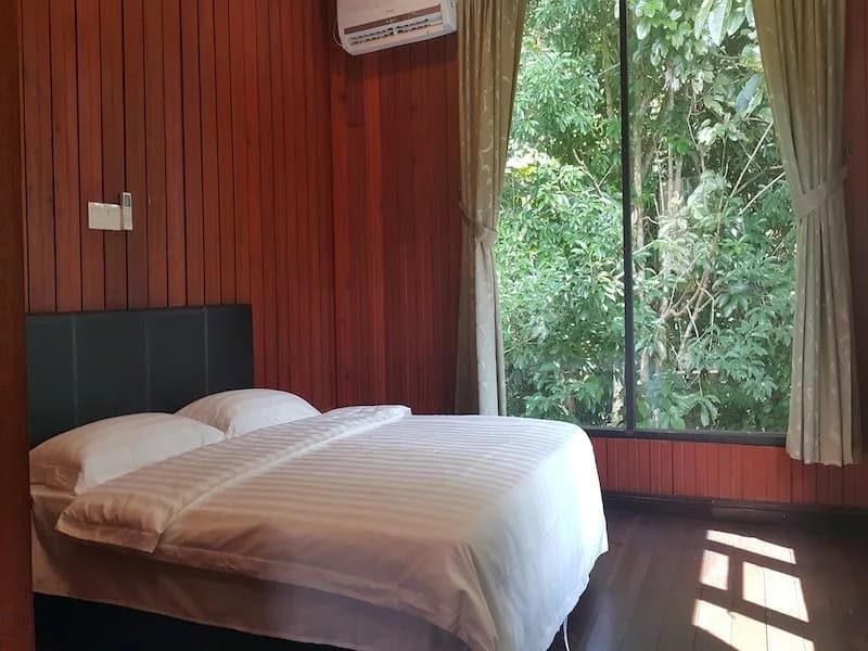 Bukit Belanda Jungle Lodge - photo 5