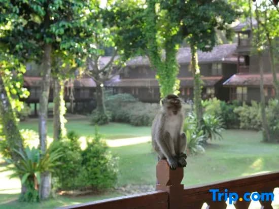 Club Med Cherating Beach - photo 10