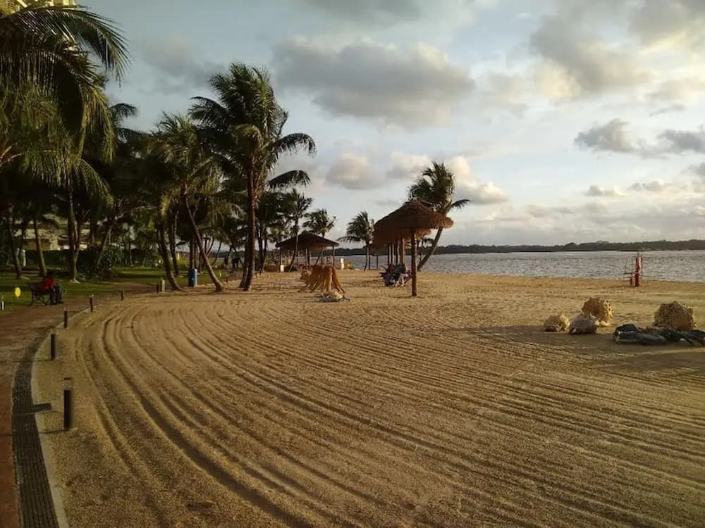Garden View @ Country Garden Danga Bay - photo 14