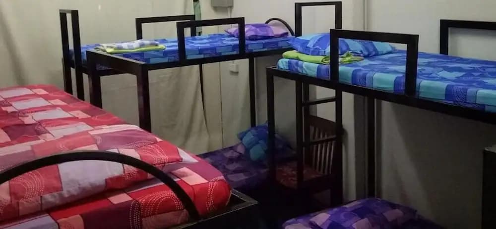1921 Gallery - Hostel - photo 5