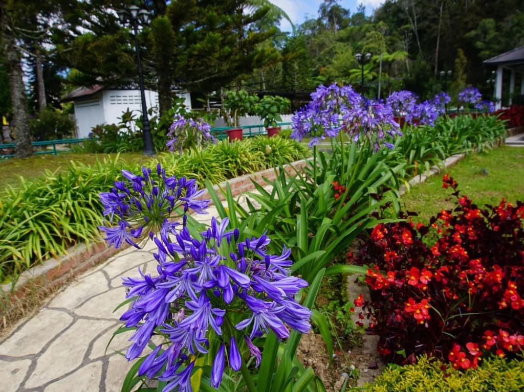 Camlodge Budget Hotel - photo 8