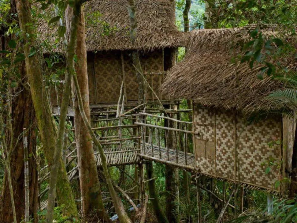 Terras Tree House - photo 6