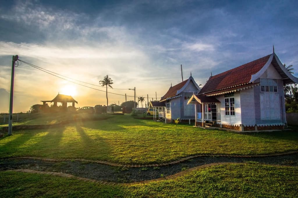Umbut Bayu - photo 5