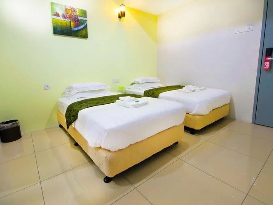 Green Hotel - photo 4