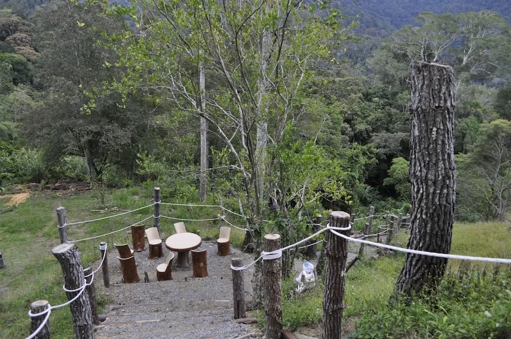 Wayn Zen Rose Cabin - photo 12