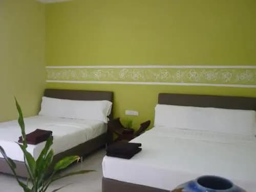 Hotel Paka INN - photo 6