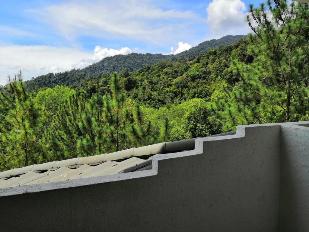 Genting Sempah Berjaya Hill Cottage - photo 4