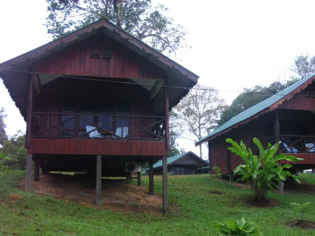 Sukau Proboscis Lodge Bukit Melapi - photo 8
