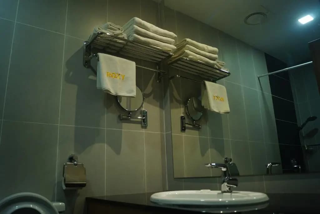 Roxy Hotel and Apartments Hotel - photo 11