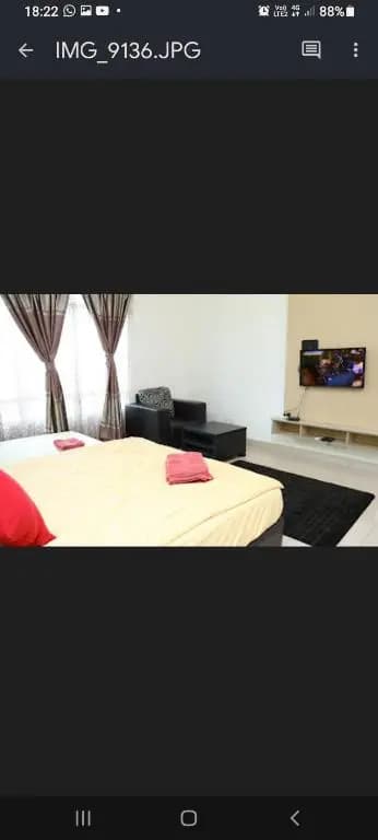 The Viana Apartment 2 - photo 4