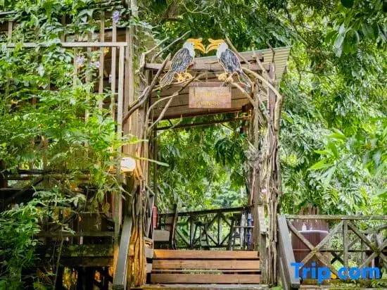 Borneo Rainforest Lodge - photo 1