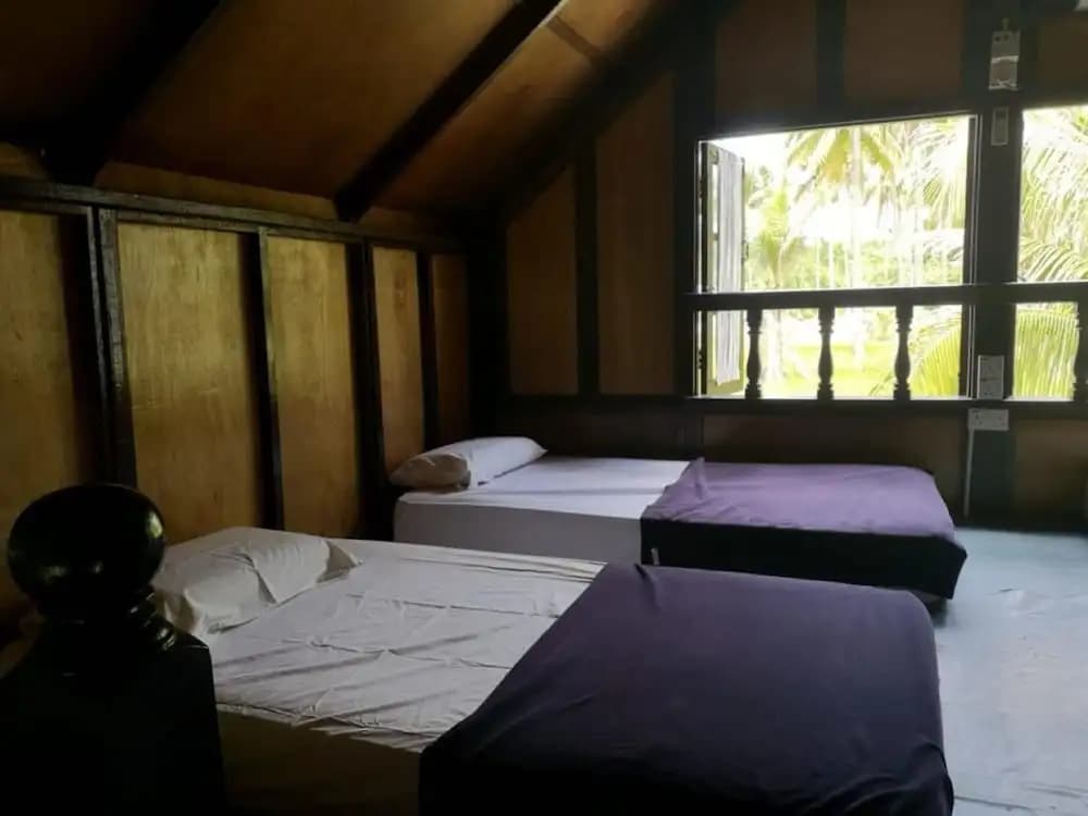 D'Coconut Island Resort - photo 6