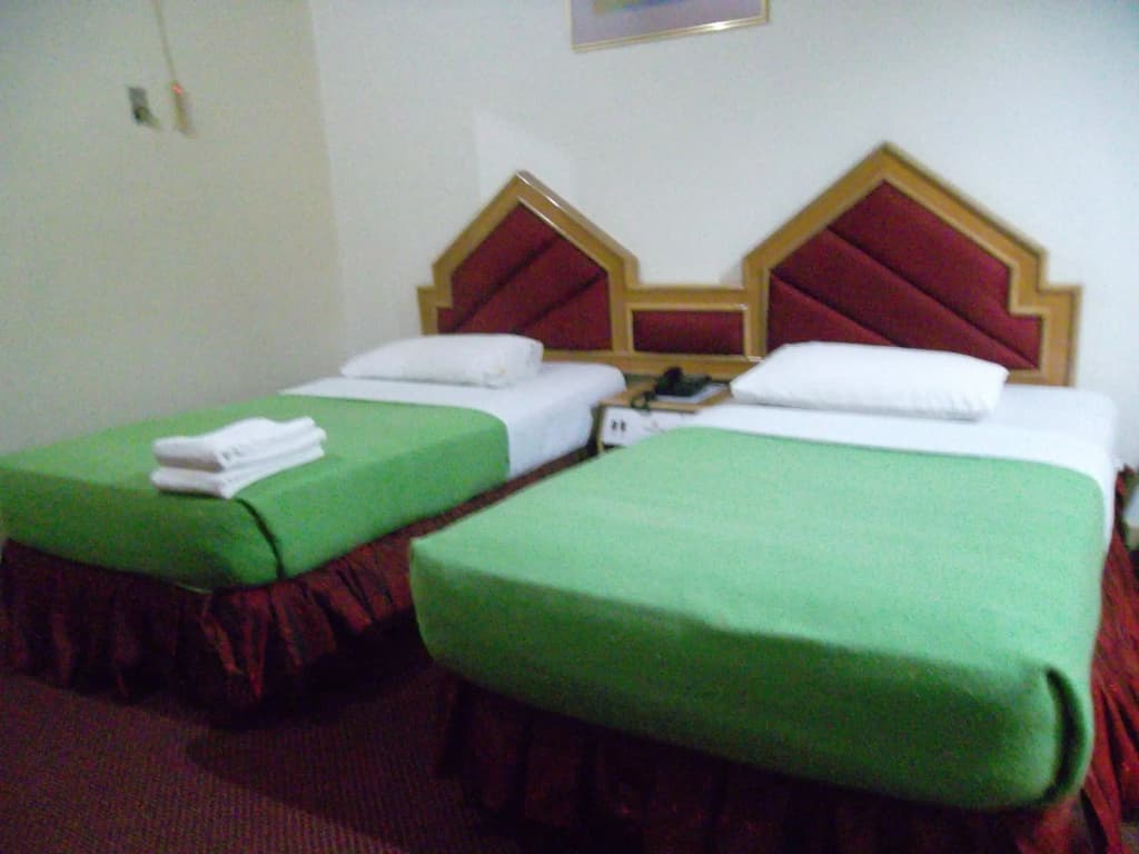 Temenggong Hotel - photo 3
