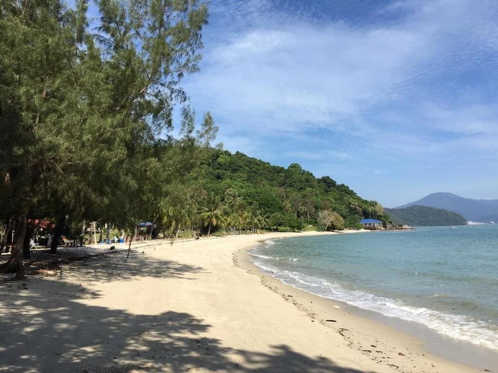 Wild Pasir Panjang Villas - photo 9
