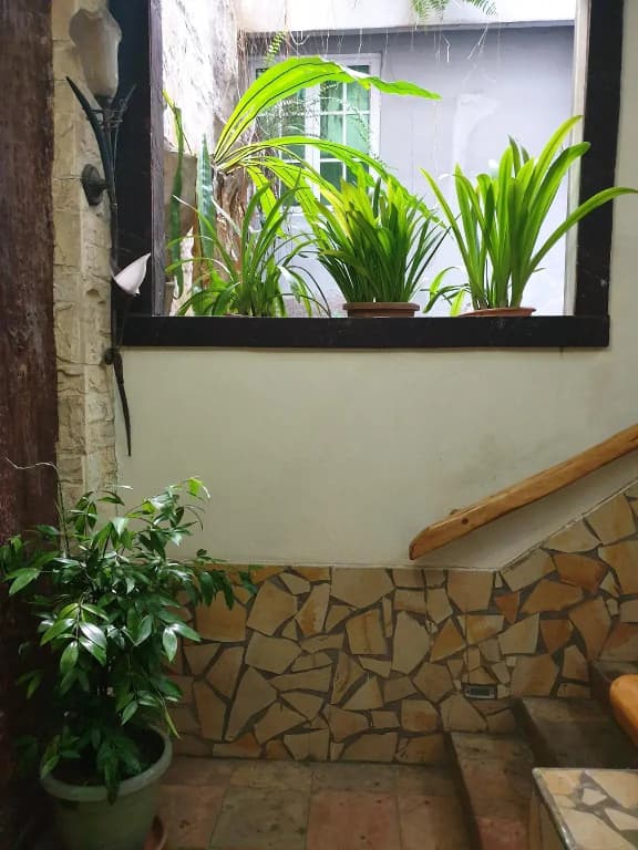 OYO 89411 900 Inn - photo 14