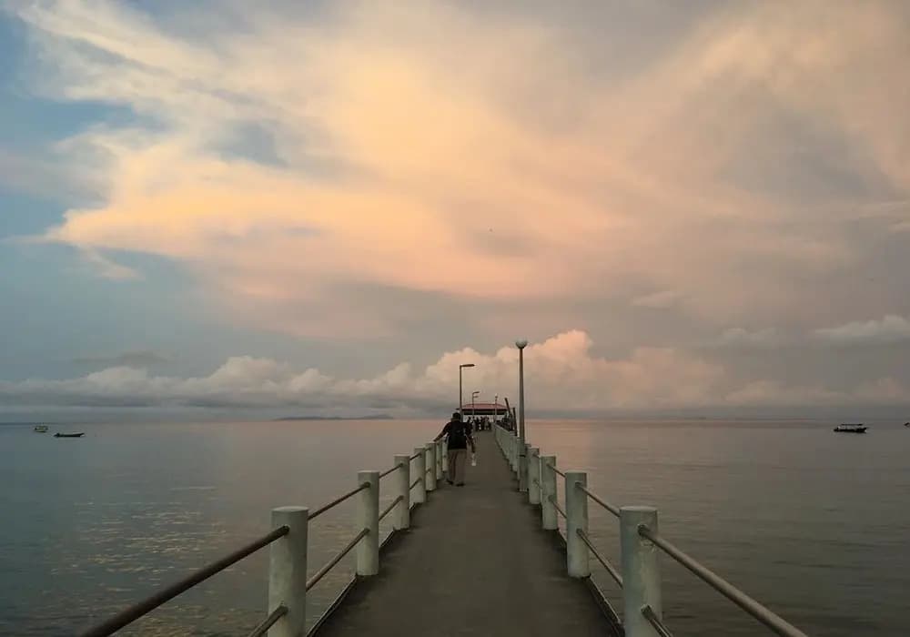 Damai Tioman Resort - photo 3