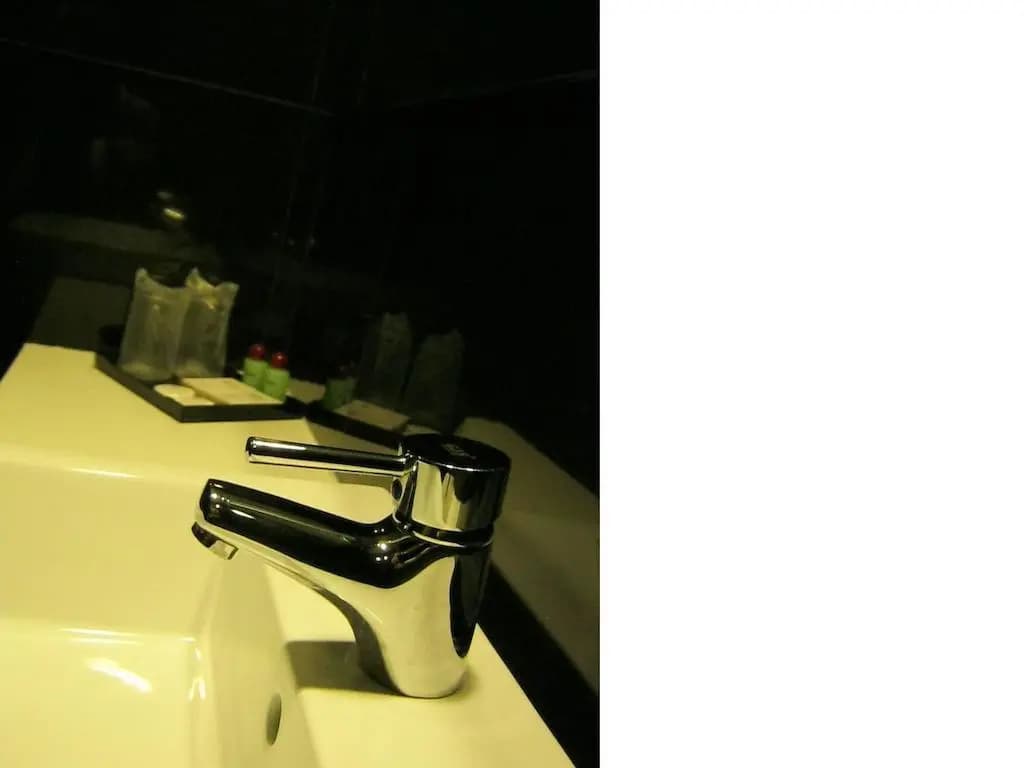 Grand Dormani Rajah Court Hotel - photo 6
