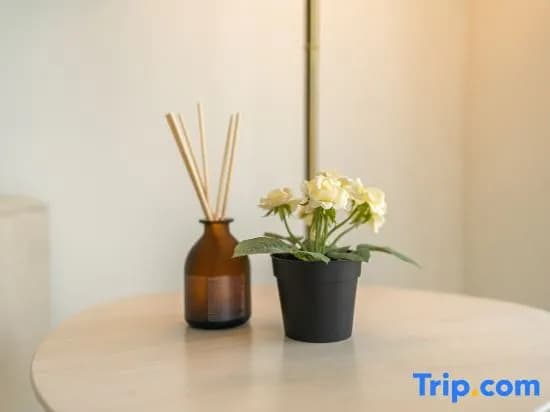 Teega Creamy INS Muji 2BR 6 pax w Balcony - photo 8