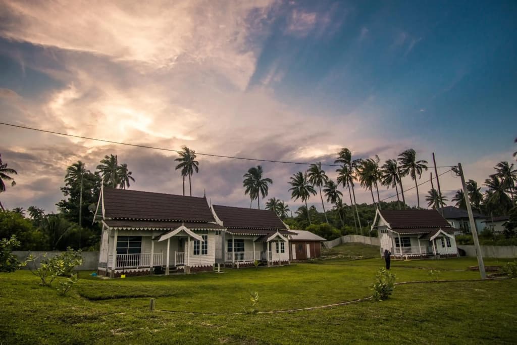 Umbut Bayu - photo 6
