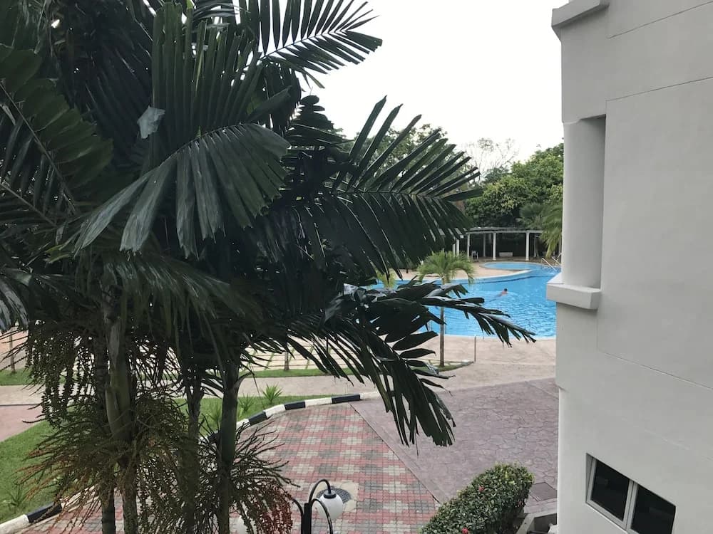 Vacation Paradise - photo 12