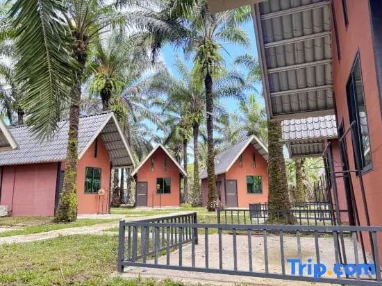Nature Resort - photo 9