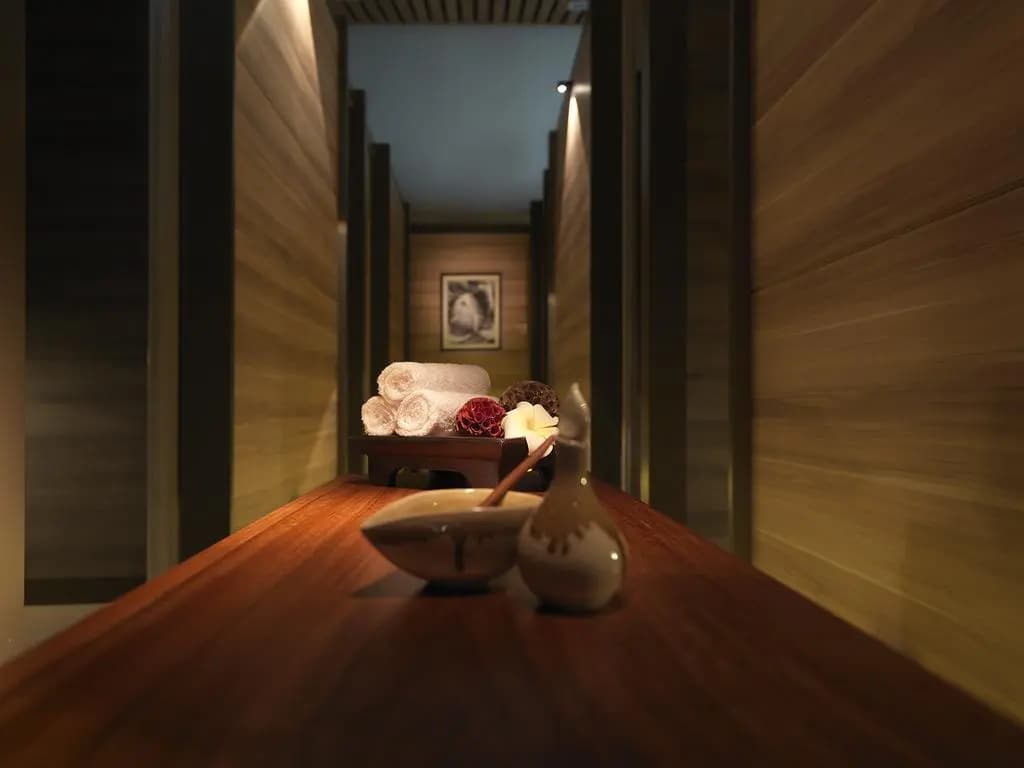 Plaza Premium Lounge (Wellness Spa-KLIA) – Private Suite - photo 2