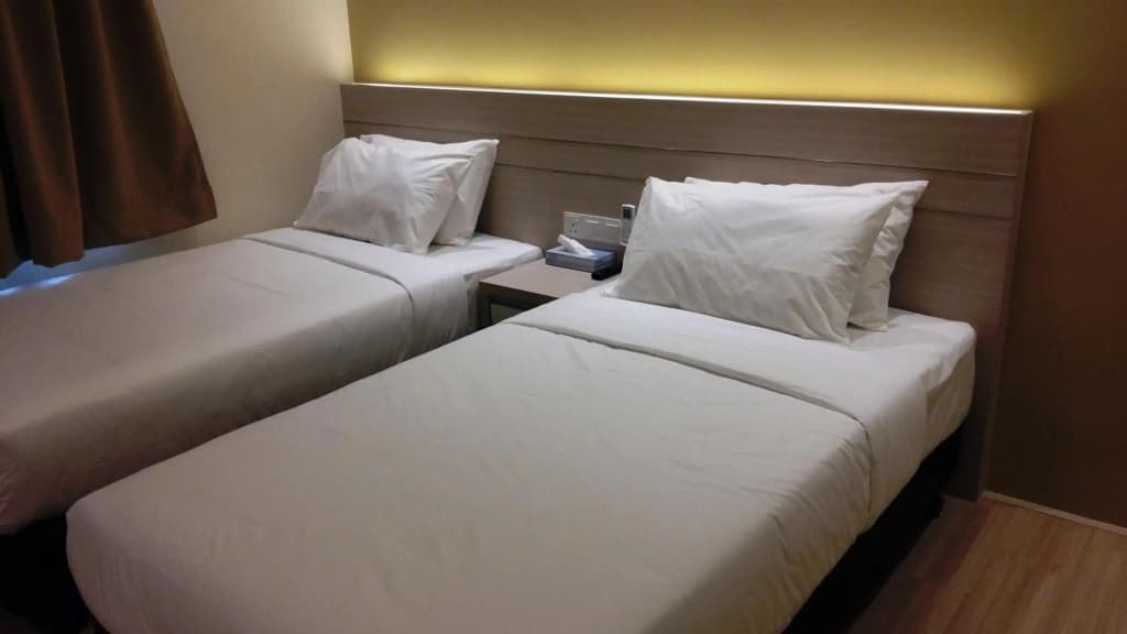 Star Tree Homestay - photo 2