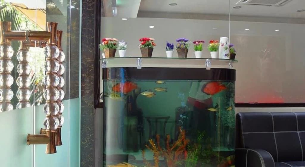 Classic Kinabalu Hotel - photo 12