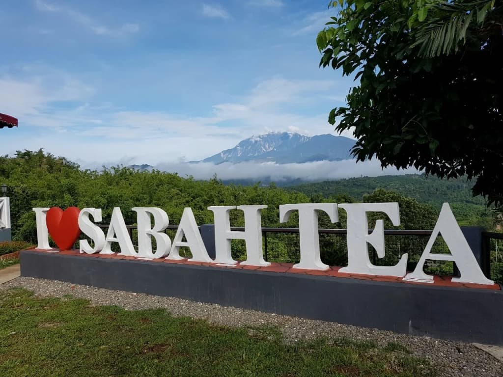 Sabah Tea Resort - photo 10