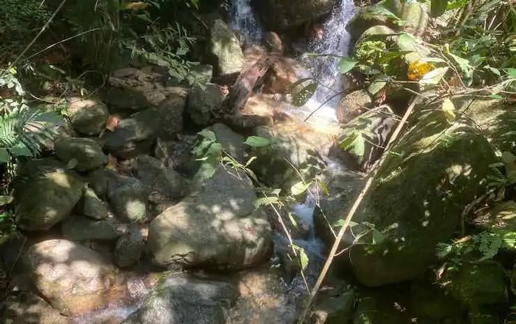 Gibbon Retreat Bentong - photo 8