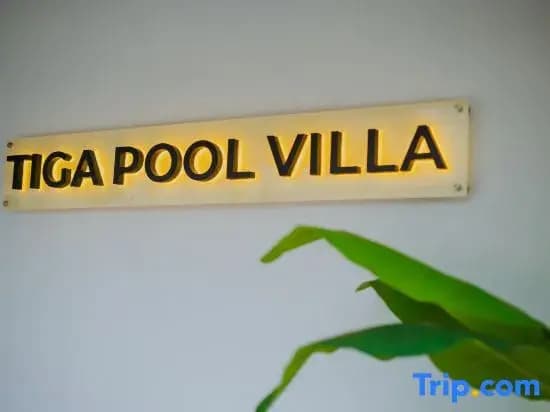 Ipoh Tiga Pool Villa by Papahost - photo 8